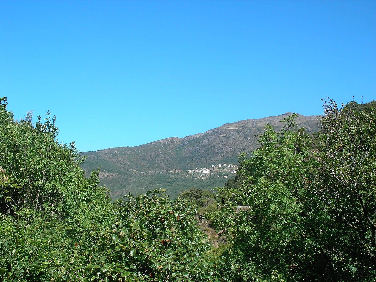 Corse du Sud
