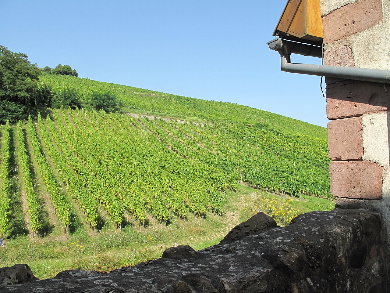 Route des vins d'Alsace